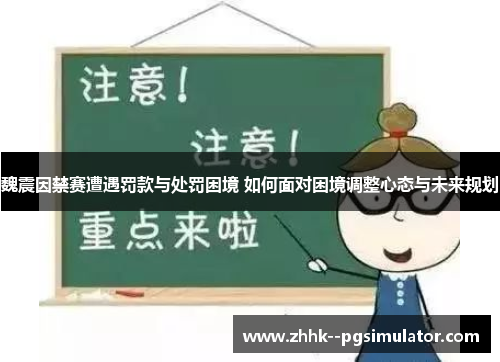 魏震因禁赛遭遇罚款与处罚困境 如何面对困境调整心态与未来规划